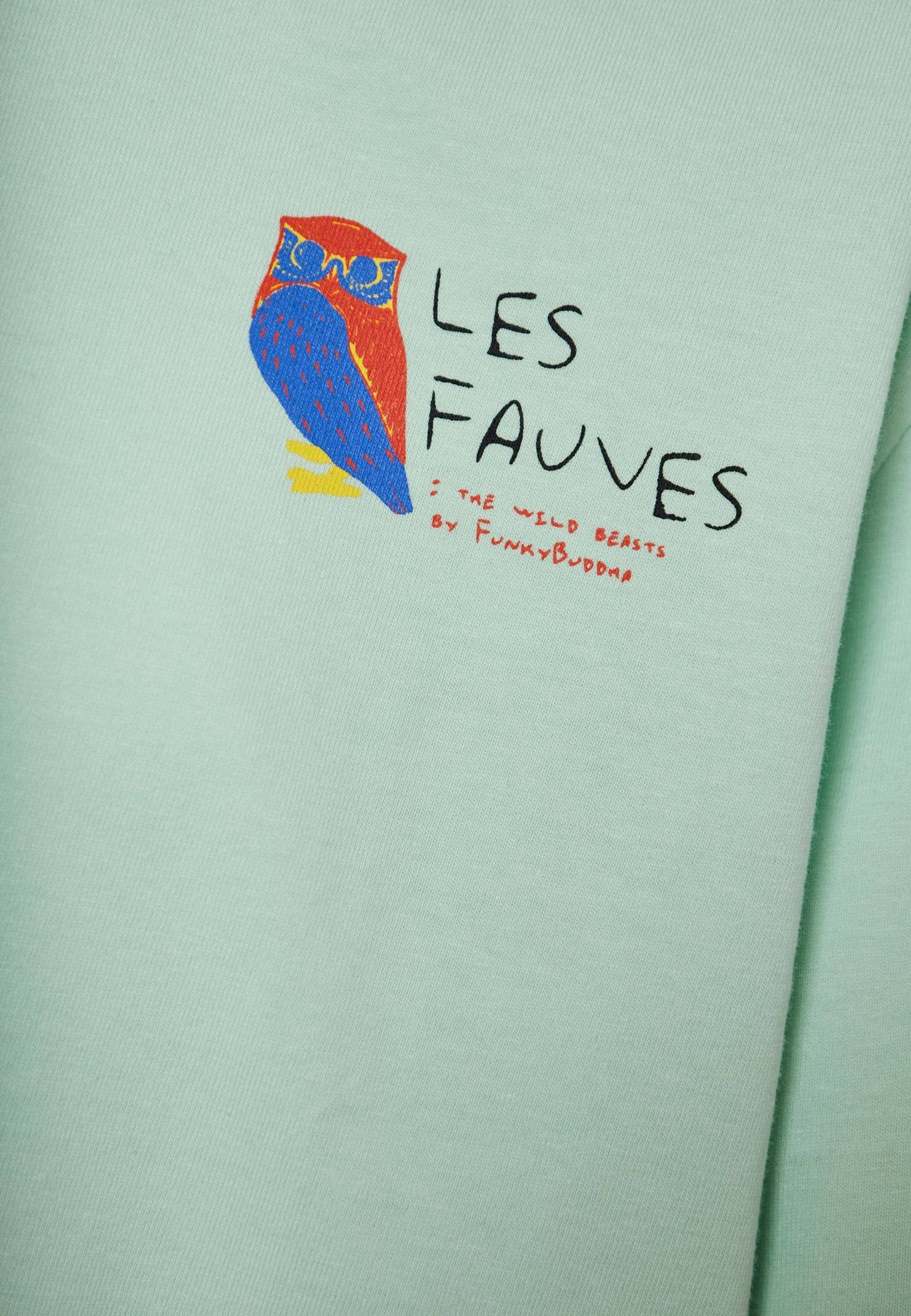 Funky Buddha Relaxed Fit T-Shirt Mint