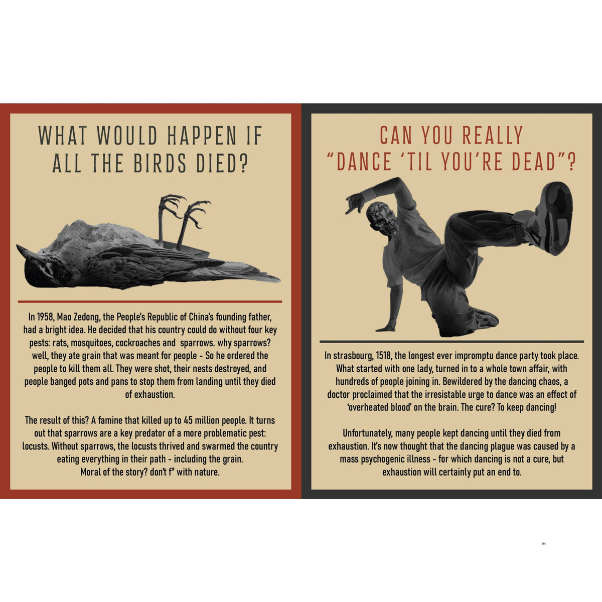 Curious Man Thoughts - Funny Gift Book