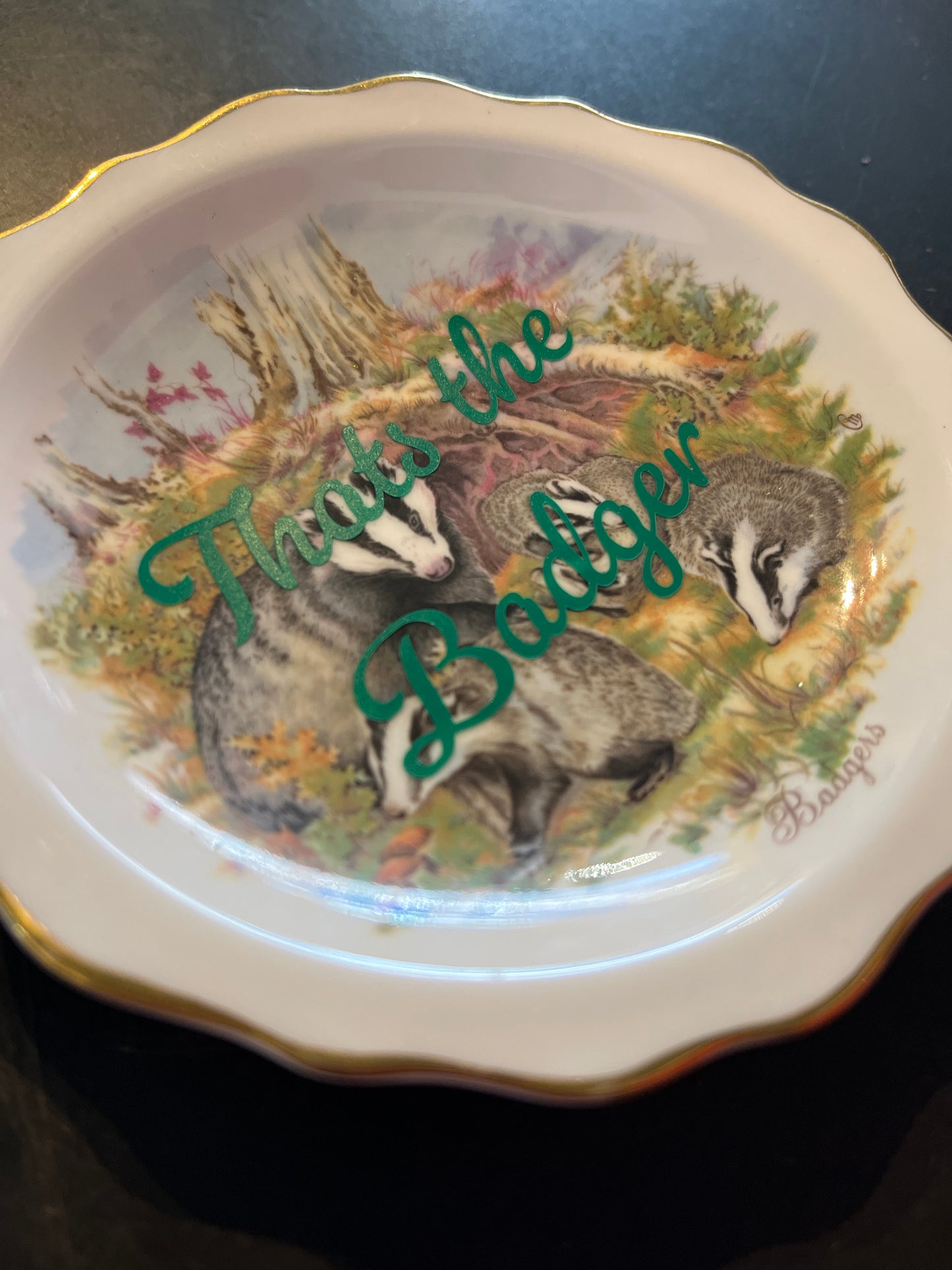 Vintage That’s the Badger Dish