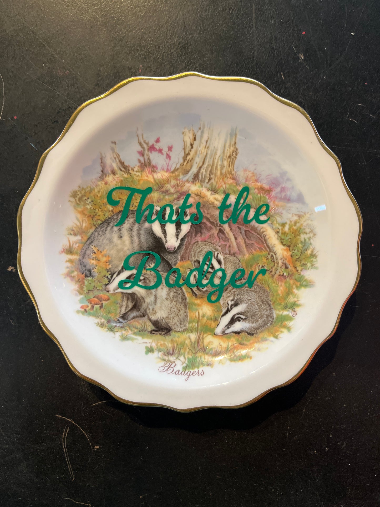 Vintage That’s the Badger Dish