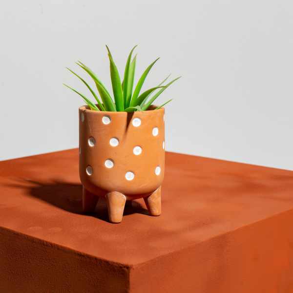 Sass & Belle Polka Dot Pot Small