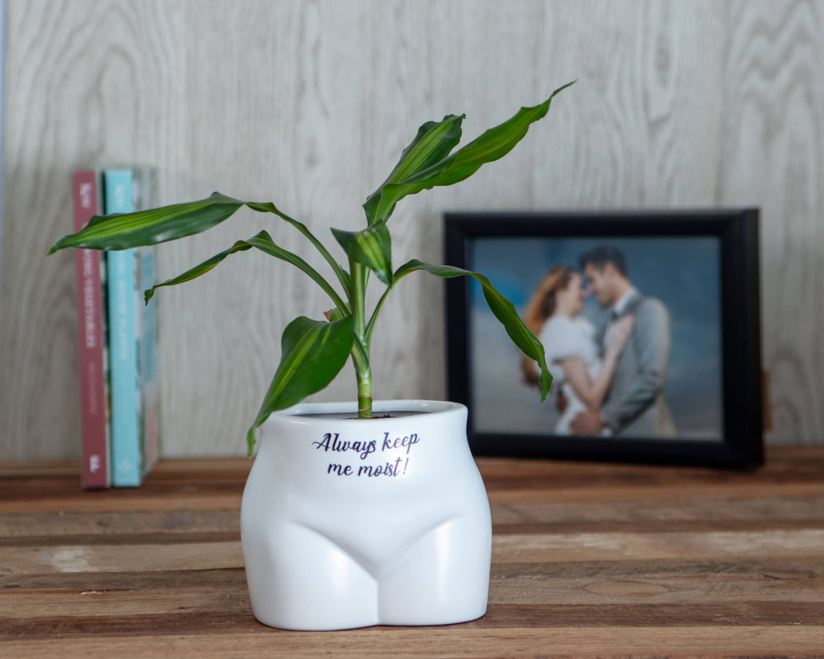 Always Keep Me Moist Plant Pot