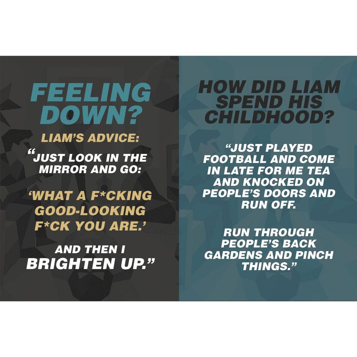 What Would Liam Do? The Unofficial Oasis Gift Book