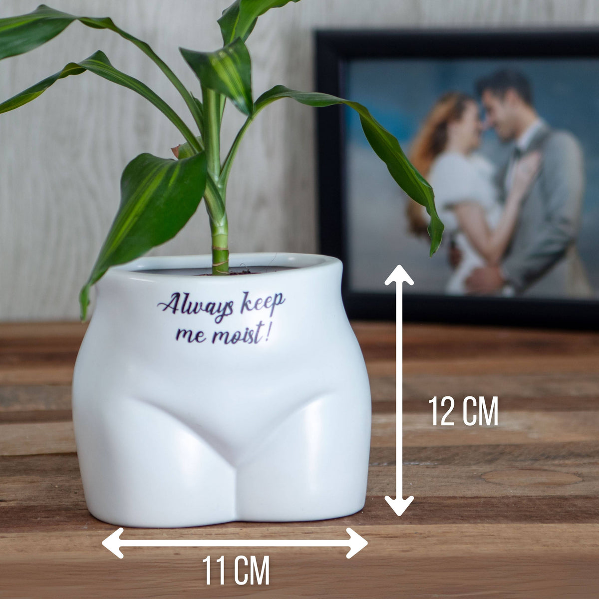 Always Keep Me Moist Plant Pot