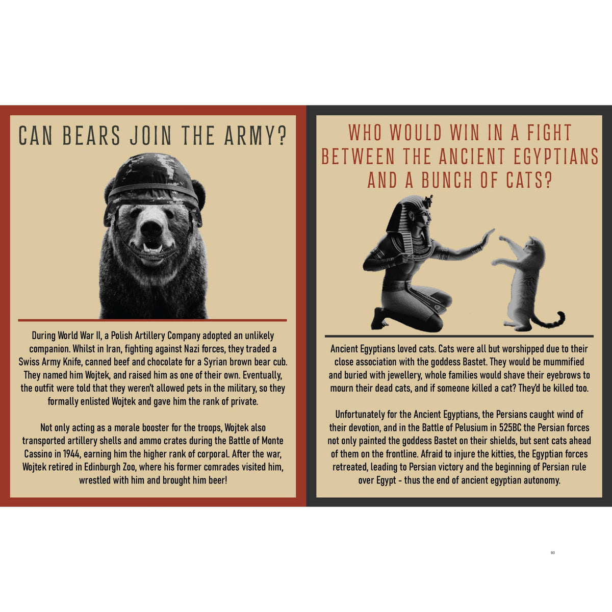 Curious Man Thoughts - Funny Gift Book