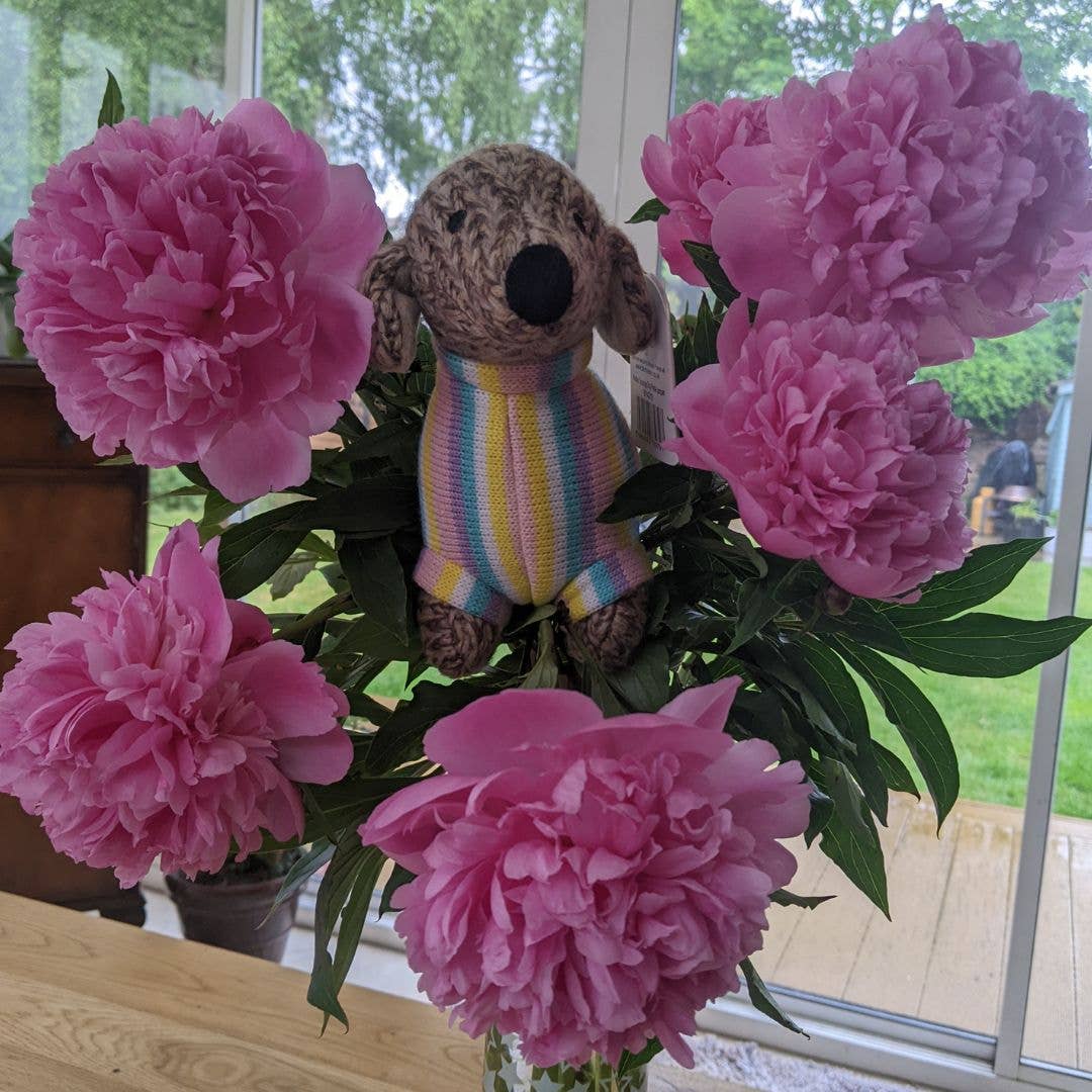 Knitted Sausage Dog Plush Toy with Pastel Jumper