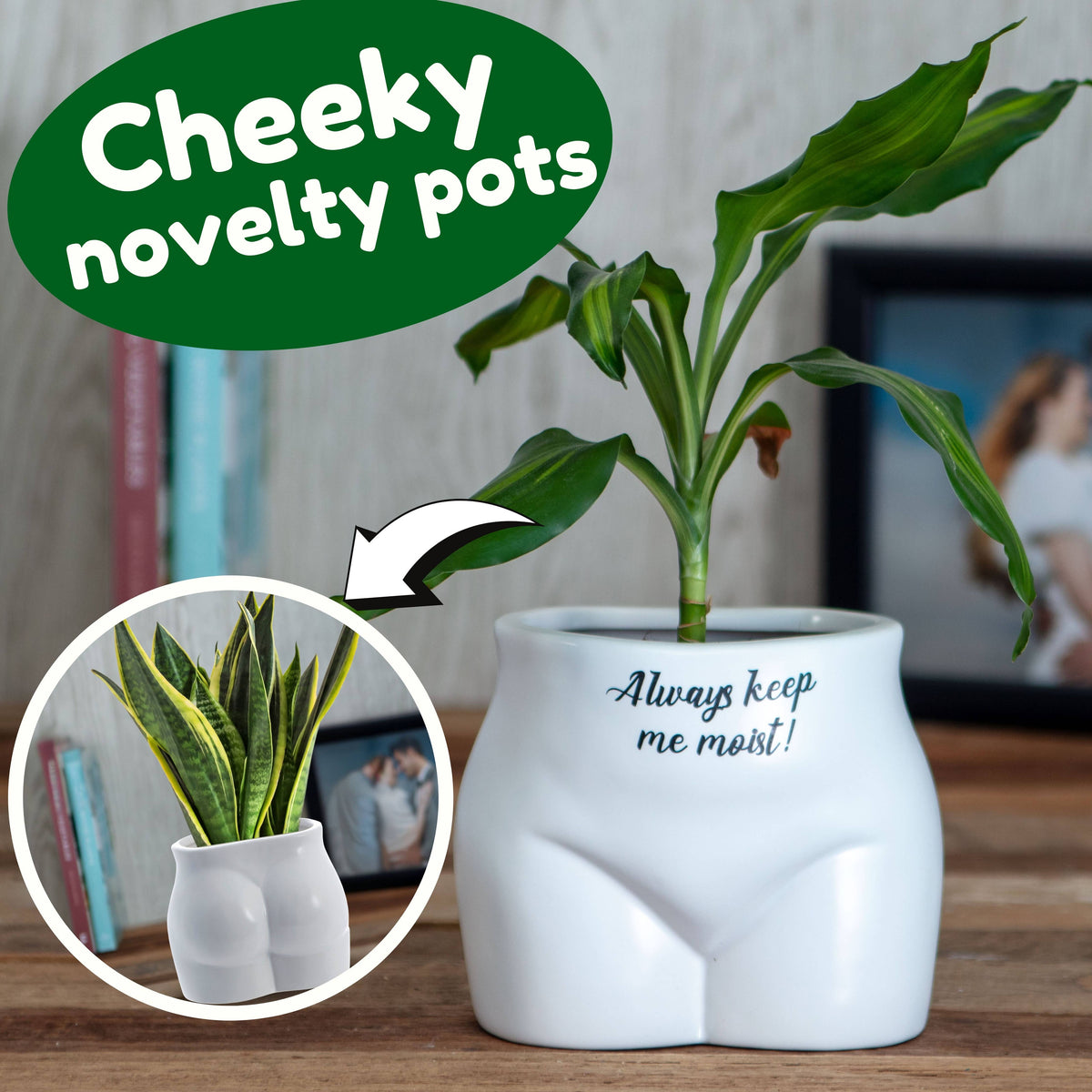 Always Keep Me Moist Plant Pot