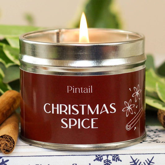 Christmas Spice Paint Pot Candle