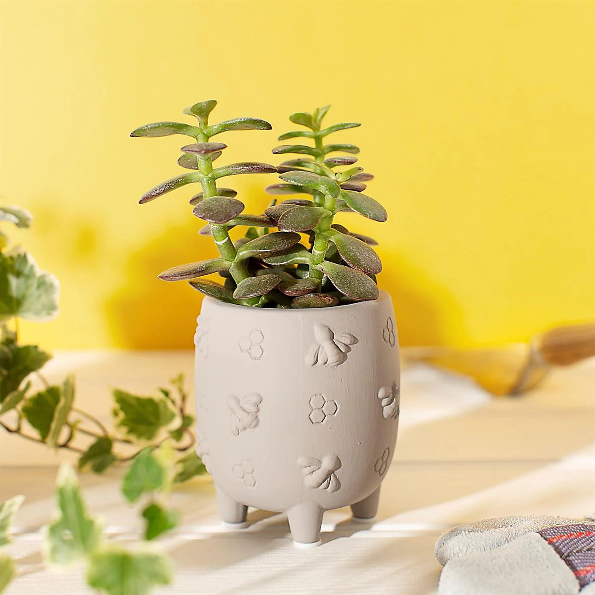 Sass & Belle Bee Grey Pot Small